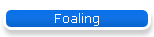 Foaling