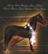 Zorro - Grandson of Landry's War Paint, mini horse Champion.jpg (52016 bytes)