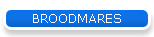 BROODMARES