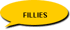 Fillies