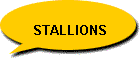 Stallions