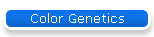 Color Genetics