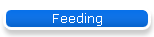Feeding