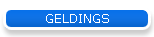 GELDINGS