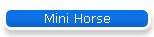 Mini Horse